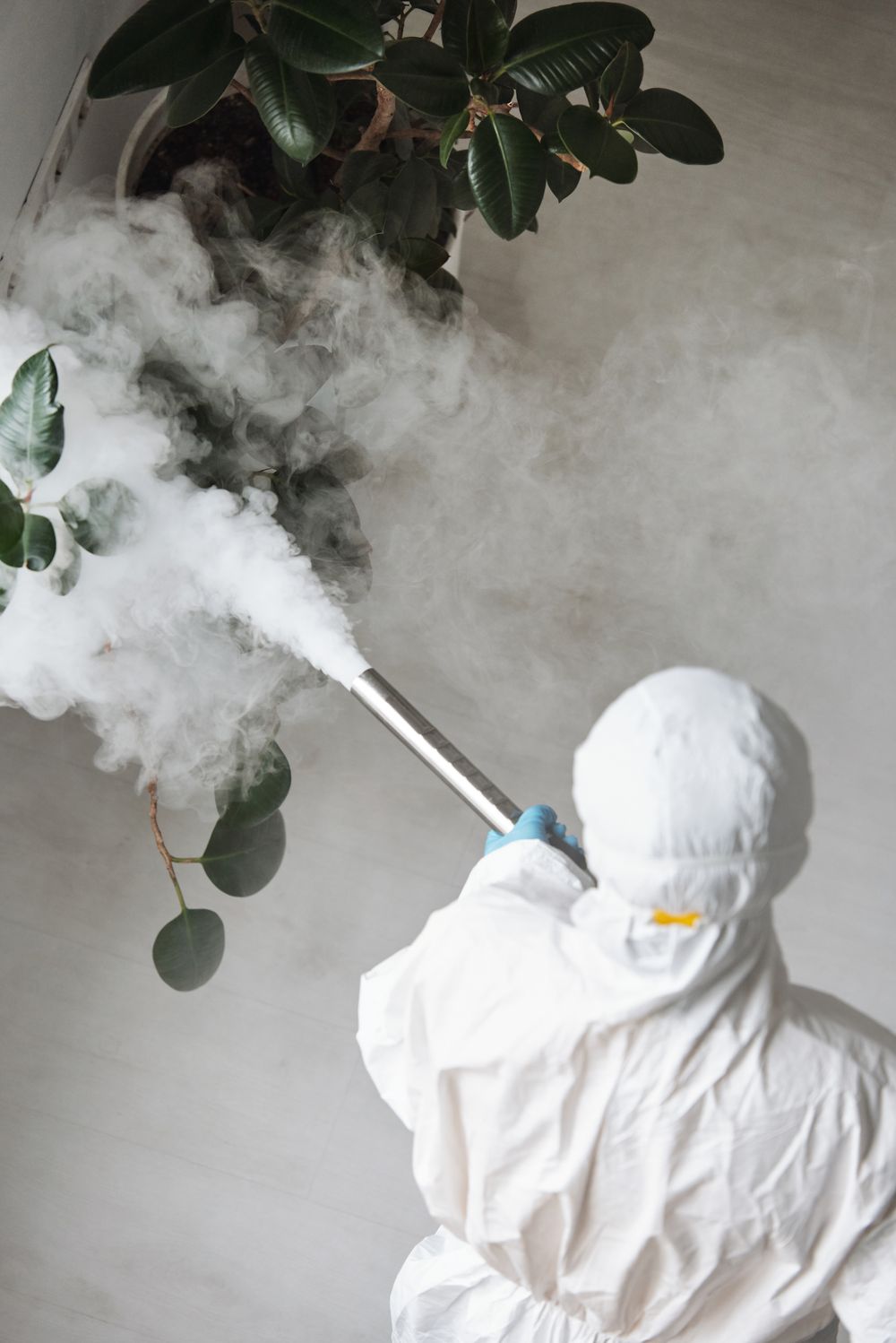 Interior fogging